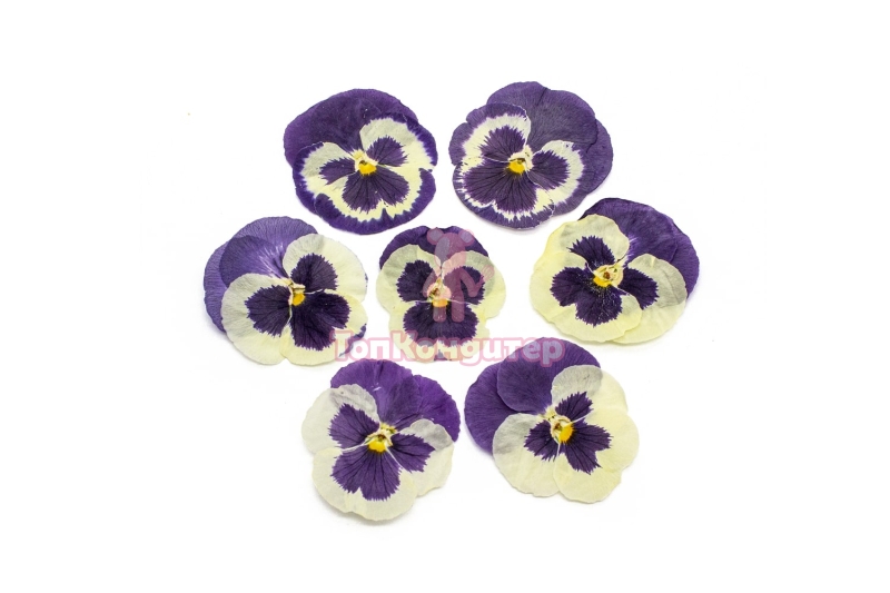 Виола обезвоженная "Сиреневый закат" плоская 20 шт